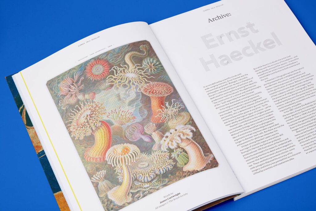 Printed Pages Issue 6